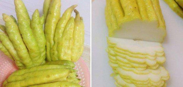 佛手柑|我自拈花笑，清风徐徐来