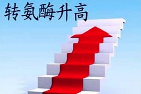 知道自己乙肝10多年没检查,得了乙肝不治疗会自愈吗