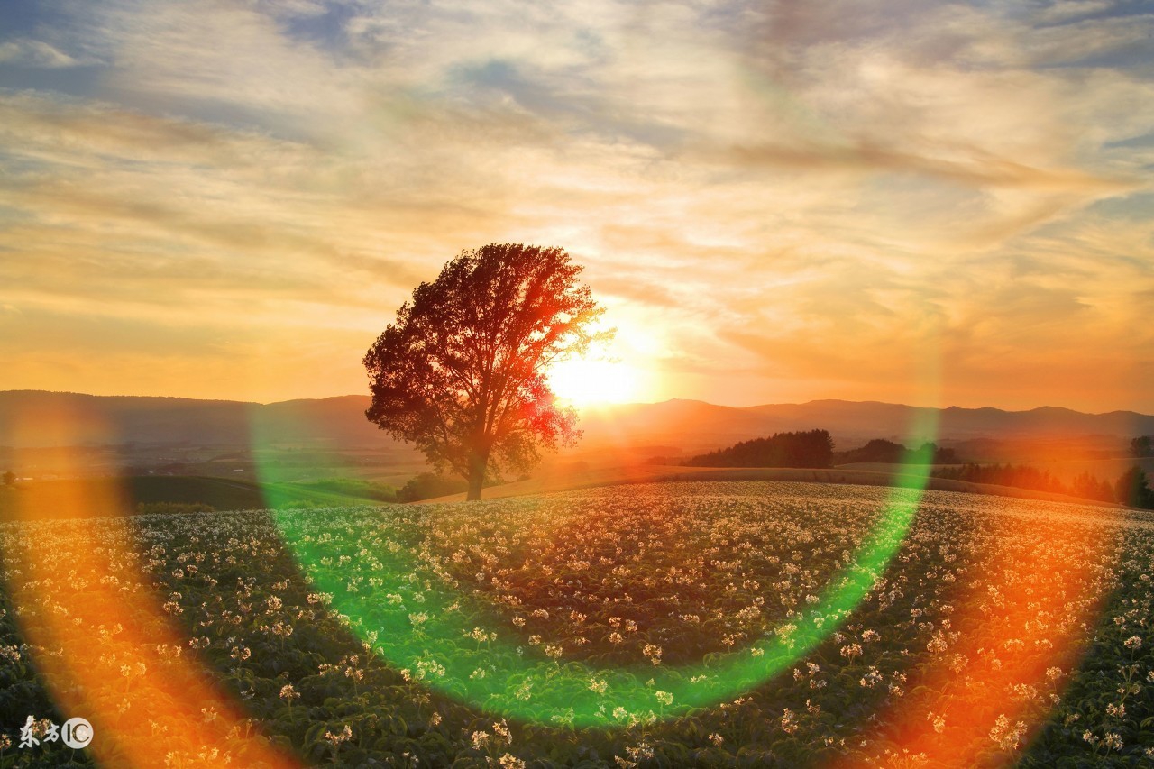 越读越有味的句子,越读越有味道的字