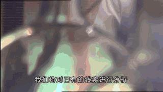 澳大利亚吉祥物袋鼠,澳大利亚的袋鼠伤人事件