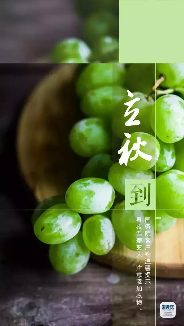 一张图上包含二十四节气壁纸,高清中国插画二十四节气壁纸