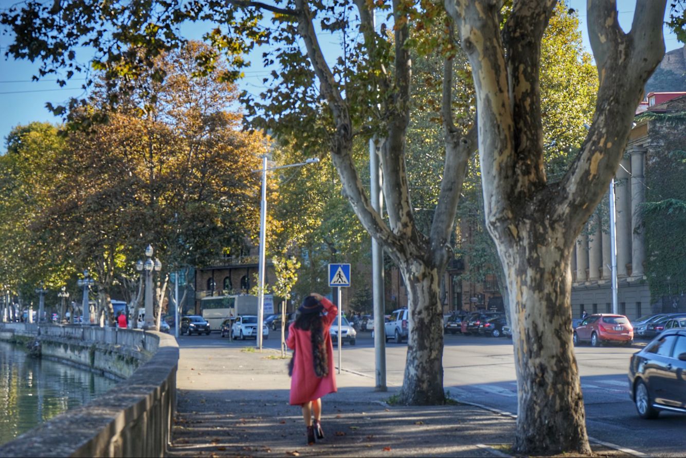 亚美尼亚火车入境格鲁吉亚全攻略,格鲁吉亚入境全攻略