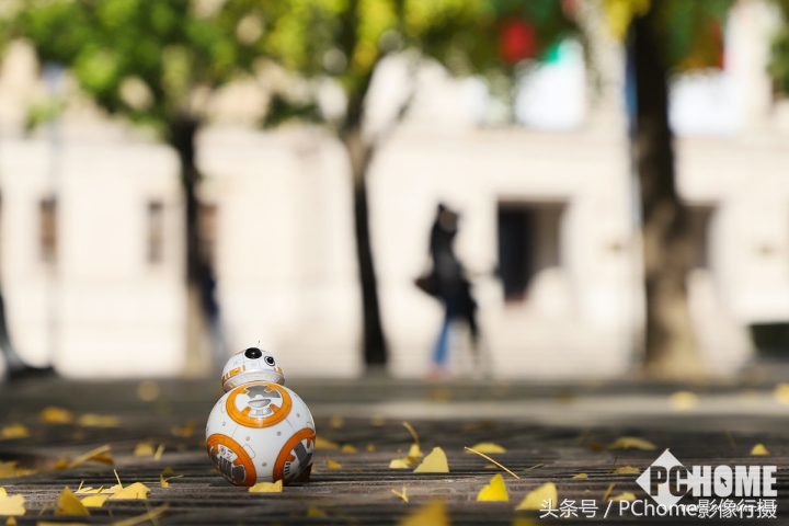 值得入手的数码相机平价佳能,佳能相机测评今年