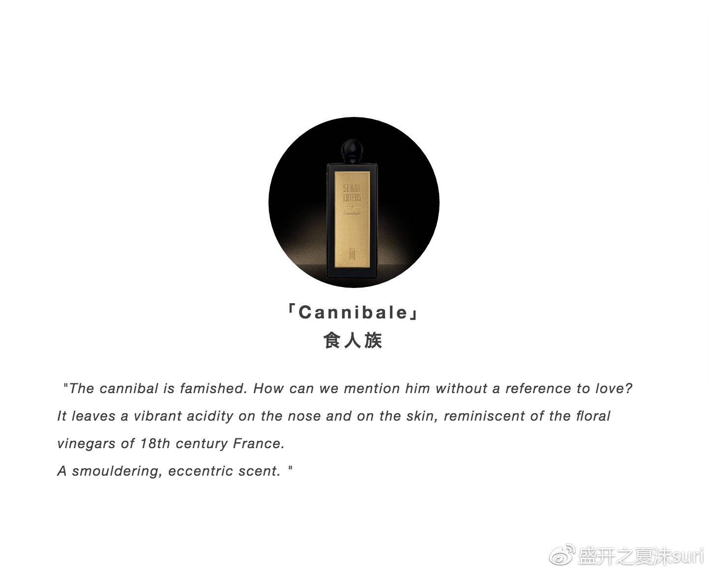 芦丹氏最有质感的香水,芦丹氏香水哪款适合女生