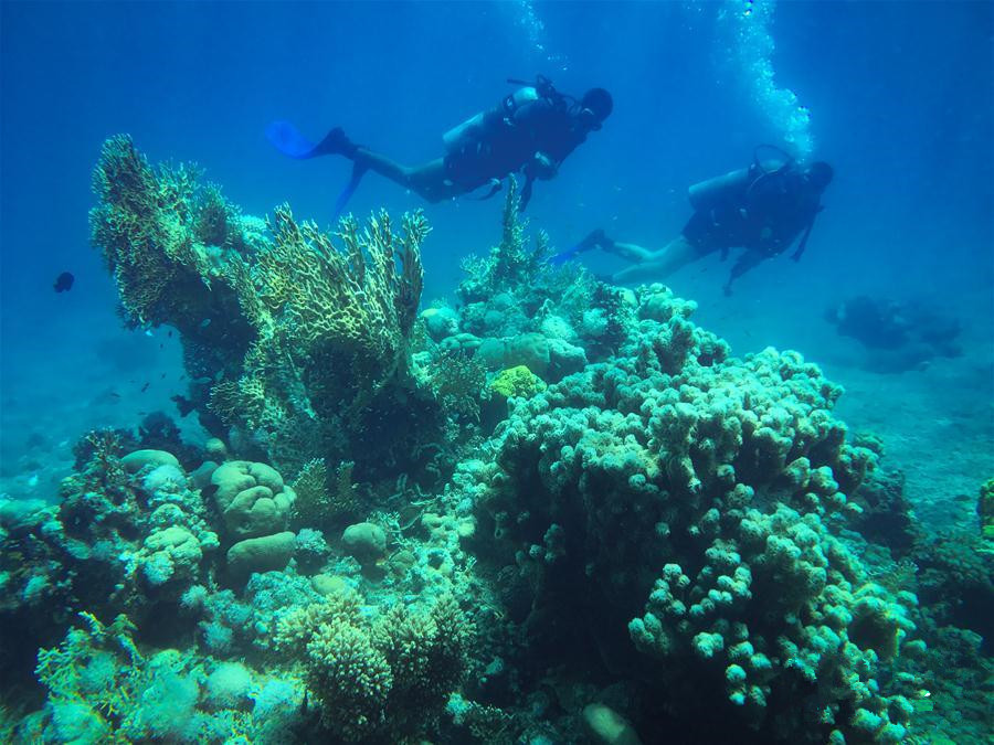 中东地区三大宗教圣地,世界三大宗教信仰地