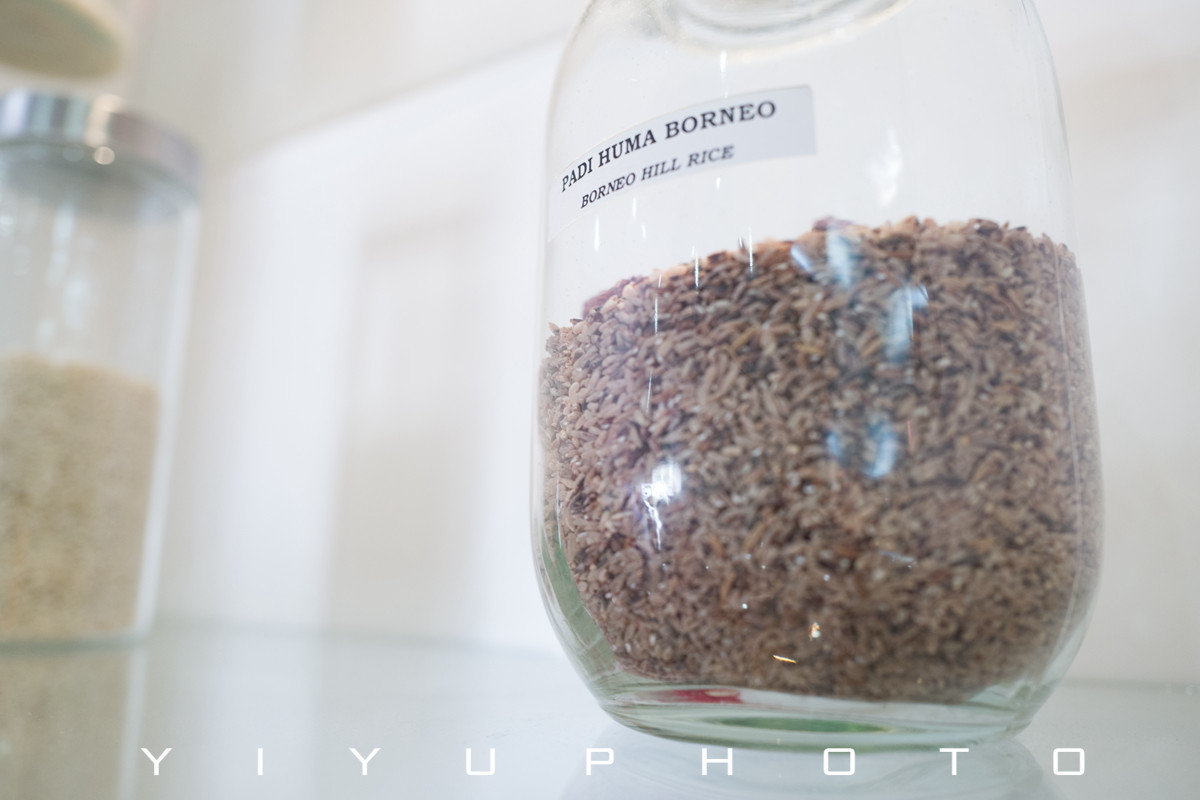 悠游一夏,马来西亚——六日自由行攻略