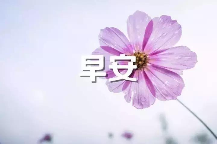 早上好祝福问候语大全简短一点,早上好问候语早安祝福