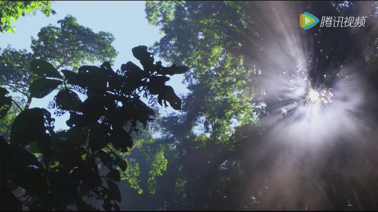 十大性价比电视盒子,目前哪款电视盒子好