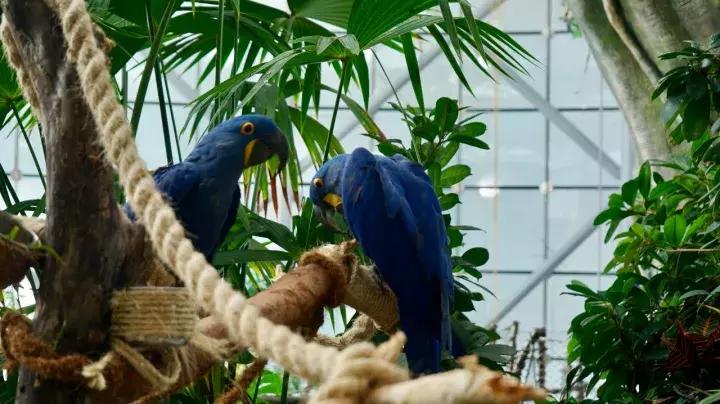 刺激害怕的游乐项目,必去的主题乐园