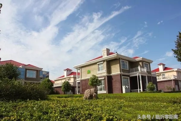 临沂最富第一村,临沂的富豪村
