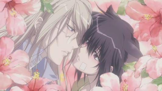 回顾动漫中触动心灵的感情瞬间,盘点那些令人难忘的动漫情侣