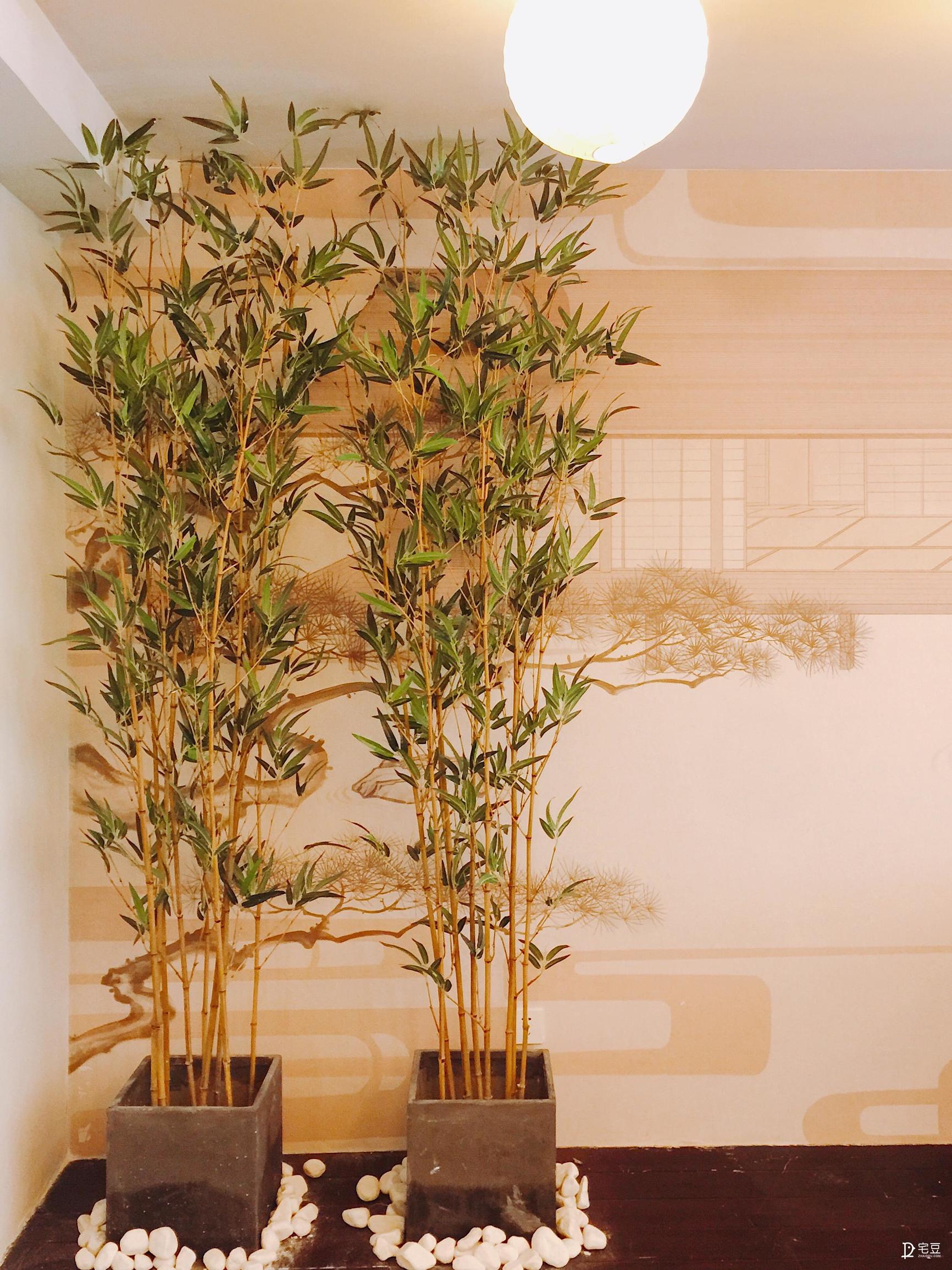 小野妹子昭和风咖啡馆软装全翻新