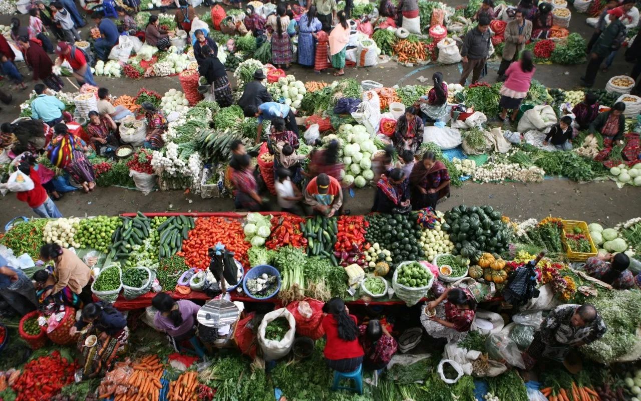 余生我只想寻一处僻静之地 (独行者一个人的旅行)