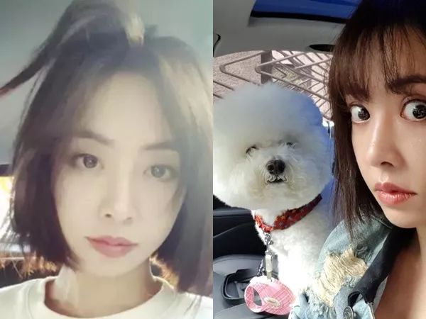 蔡依林“整”成单眼皮？竟然撞脸李钟硕