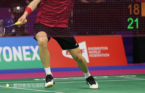 安赛龙和陶菲克,陶菲克vs安赛龙盖德完整版