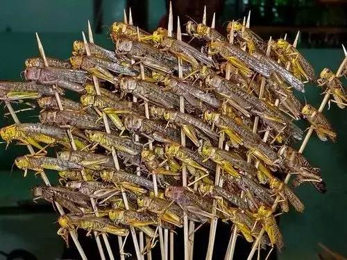 辽宁各地美食分布图,辽宁美食攻略大全