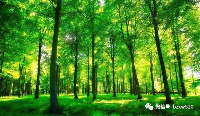 巴中创文失败，我们该反思什么？