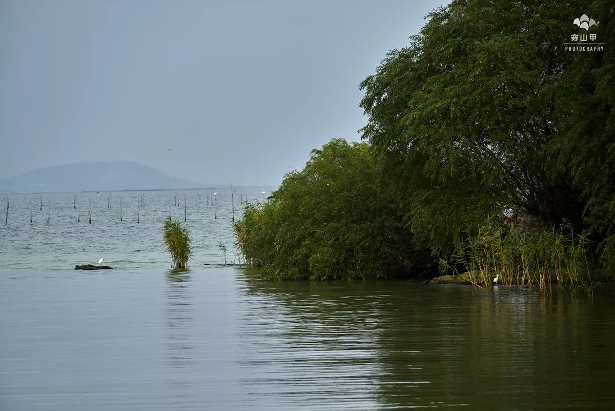 江苏省太湖一座小岛,太湖两个小岛