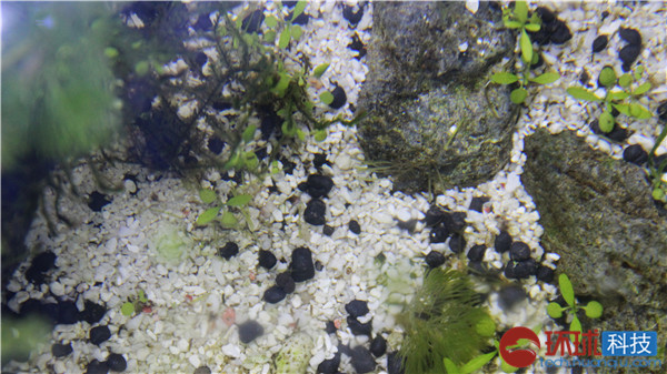 三星galaxys拍照评测,三星拍照vs苹果拍照