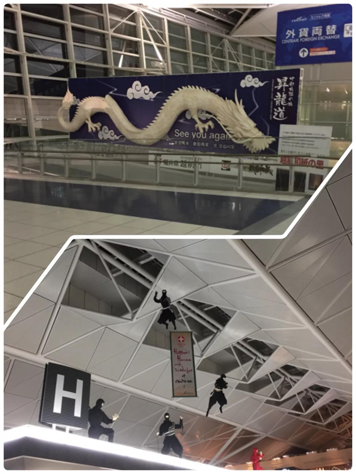 新手怎么开始做海外代购,零基础怎么做海外代购