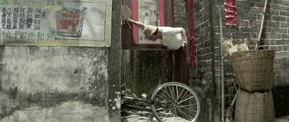 周星驰为什么比成龙电影播放量多,成龙周星驰李连杰刘德华影响力