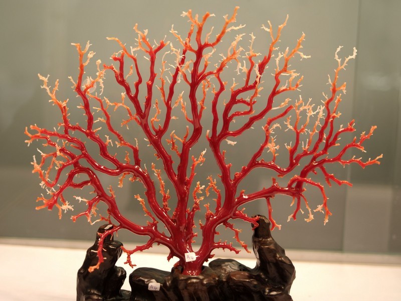 祥瑞红珊瑚,珊瑚被视为祥瑞幸福之物