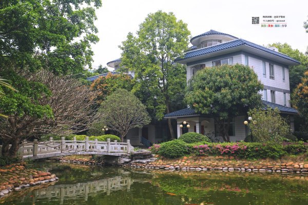 有一种春天叫牡丹花开,有一种春天叫花开艳丽