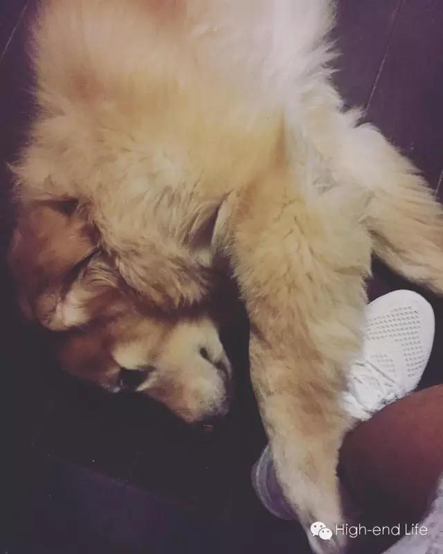 余文乐和周冬雨再见面,余文乐和周冬雨相差几岁