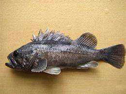 那些不认识的海鲜小干货,超级干货2022