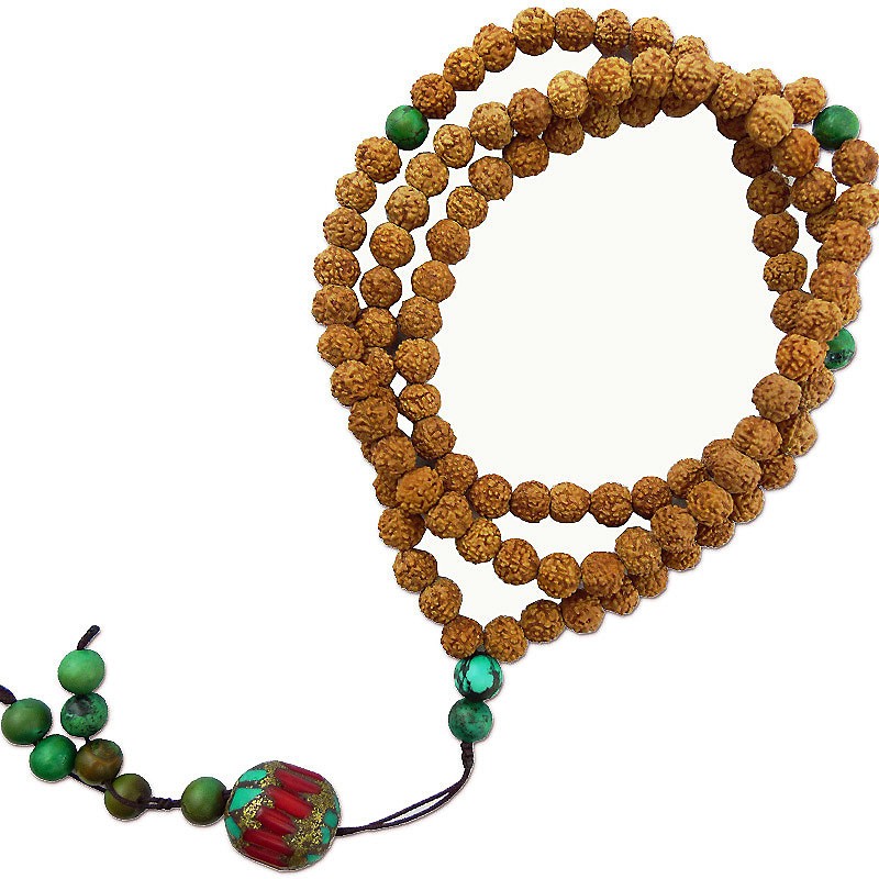 最常见的普通菩提子是哪种,菩提子种类大全图解