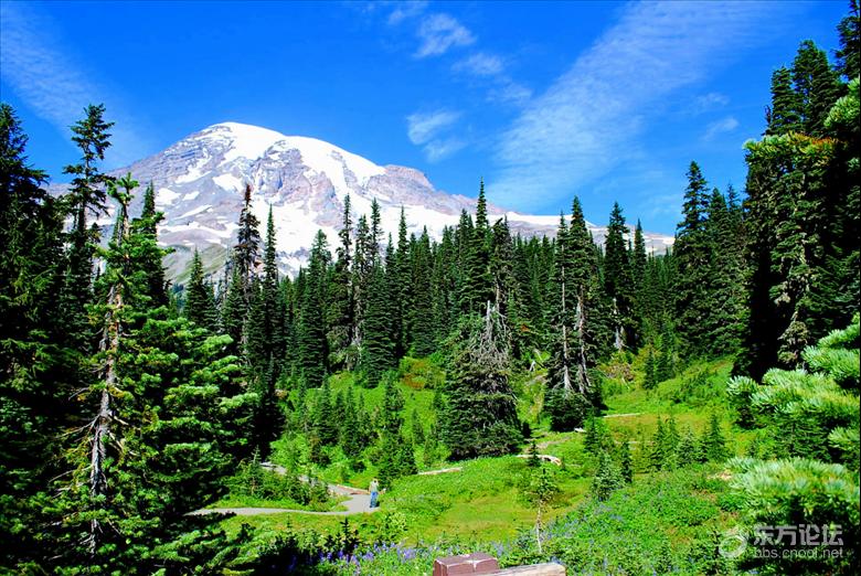 西雅图油价,西雅图油价多少钱