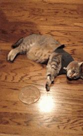 李玟和王菲到底谁是天后,为什么李玟会成为华语天后级歌手