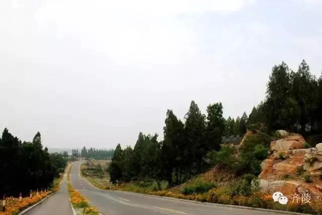 临淄:特色小镇的春天——金岭敬仲朱台齐陵