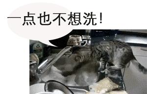 替换老旧燃气灶,旧燃气灶换新燃气灶要看日子吗