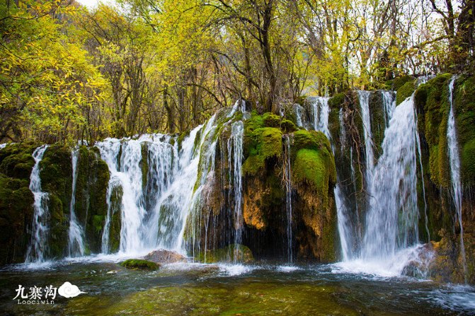 鍛宠暰娴佽繛蹇樿繑,鍛宠暰鐣欐亱