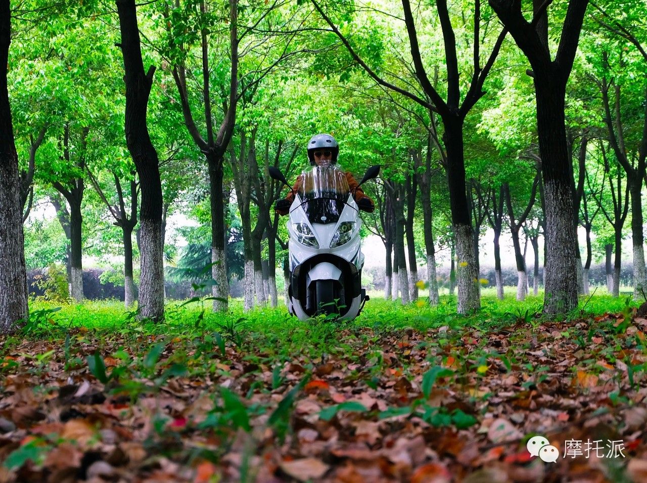 全国首测2016款银刃-刃在烧