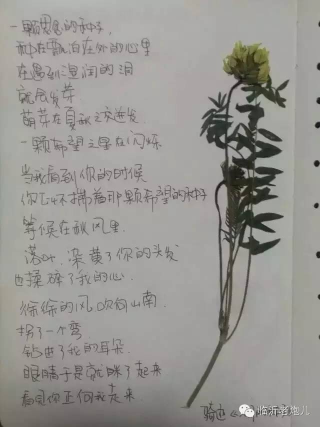 带着书本去旅行绘画,带着旅行箱去旅行绘画