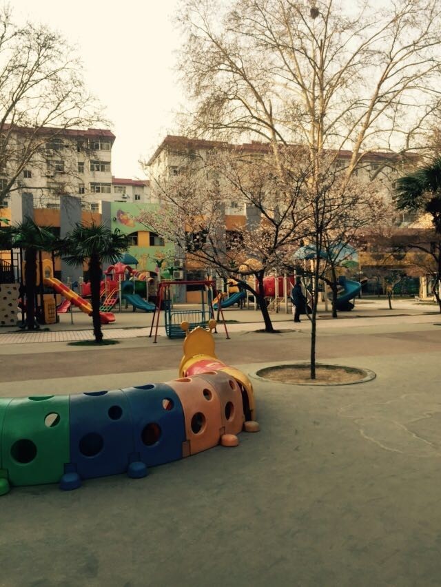 郑州最贵的幼儿园排名榜,郑州金水幼儿园