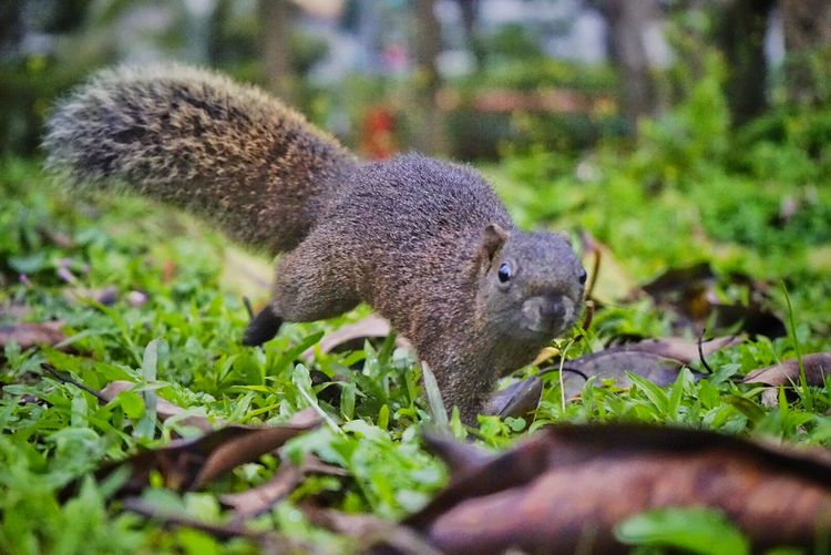 台湾游记自由行,台湾环岛旅行记