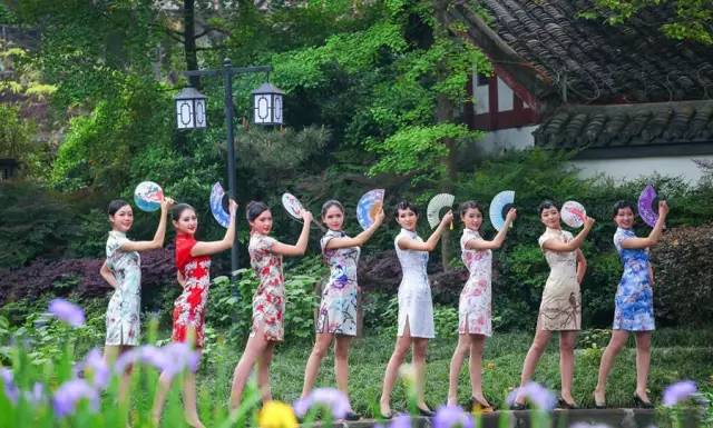 空姐旗袍亮相,虹桥机场空姐旗袍快闪