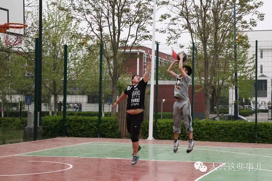 免费的运动场地一般在哪里,朝阳区免费运动场地