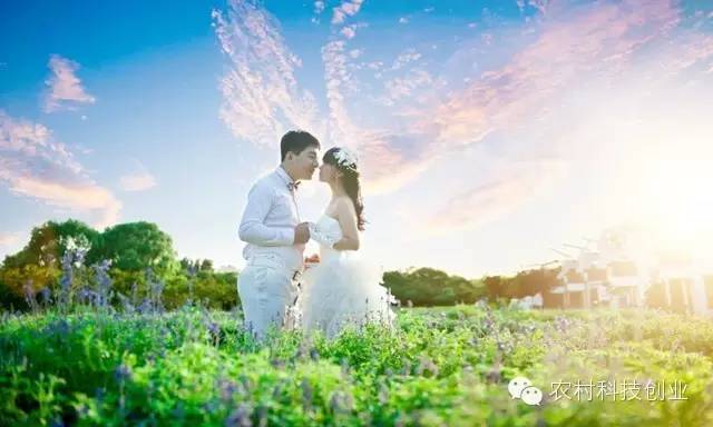 休闲农业十大盈利模式,休闲农业致富方法