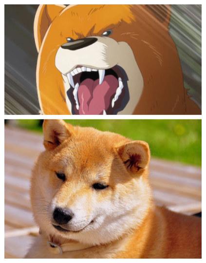 日本篮球为什么发展起来了,日本篮球为什么这么弱