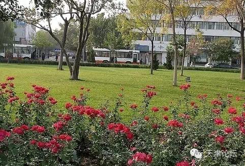 天津三月初哪个公园值得逛,天津最值得去的公园