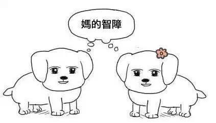 杜海涛是怎么落魄的,为什么杜海涛这么有钱