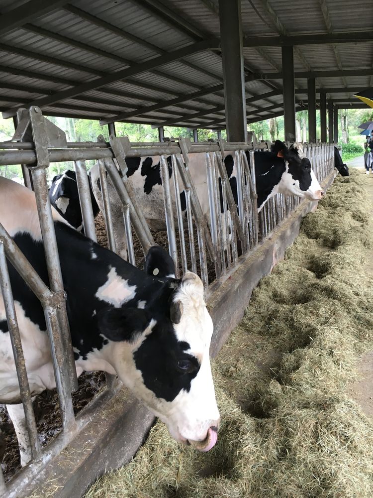 台湾游记自由行,台湾环岛旅行记