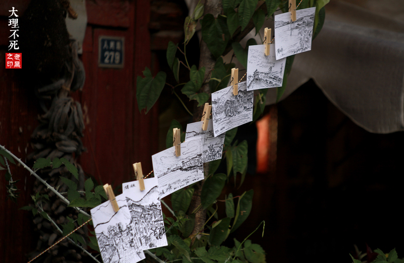 观察|大理不会死，人才会——人民路的故事