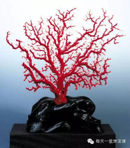 顶级老蜜蜡单珠图片,老蜜蜡大珠子图片欣赏