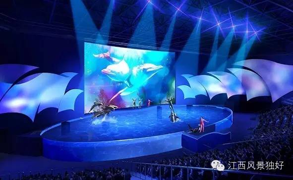 南昌万达海洋乐园在哪里,南昌万达海洋乐园主题公园