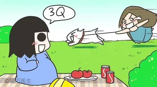 怀孕养狗新手入门必知,怀孕了养狗注意事项